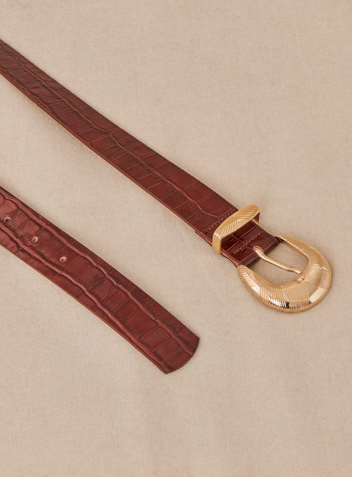 fw24 / ceinture adrienne croco - cognac