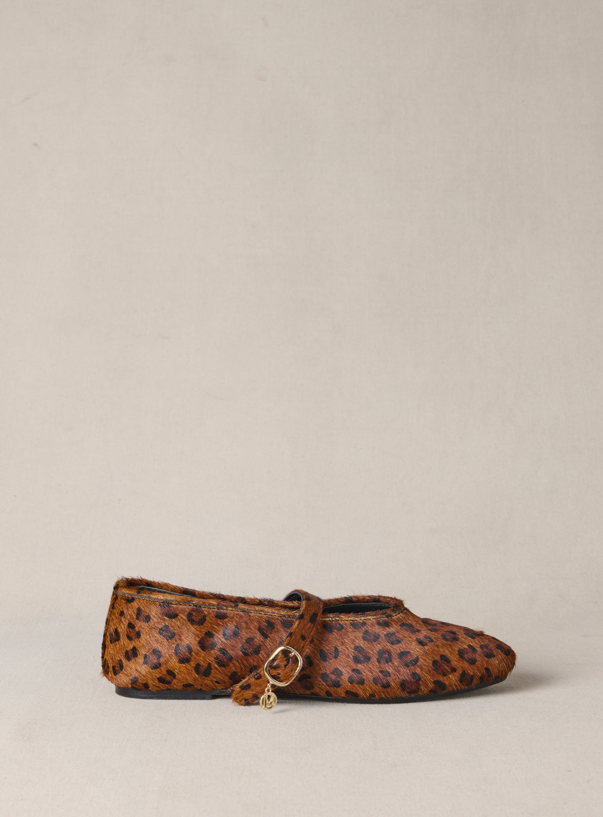 fw25 / carlita ballerinas - sand