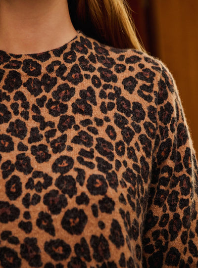 Robe Ross
